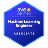 Badge 6
